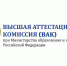 Профессор Вавиловского университета подготовила диссертацию, признанную одной из лучших в 2024 году - Вавиловский университет