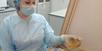 Экскурсия в ветеринарную лабораторию: школьники познакомились с профессией изнутри - Вавиловский университет