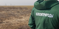 В волгоградском регионе усилена профилактика нарушений экологического законодательства - Администрация области