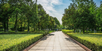 92 камеры установят в Парке Победы Курганинска - Кубанские Новости