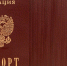 Воронежцам напомнили, сколько времени отводится на замену паспорта по возрасту - РИА Воронеж