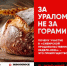 За Уралом — не за горами: «Сибирская продовольственная неделя» соберет рынок Сибири и Дальнего Востока в Новосибирске - Сибирский репортер