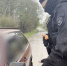Под Лугой водители не проехали мимо полиции и гаишников, участковые проверяли "заброшки" - видео - 47 новостей