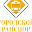 Зеленодольск принимает участие в Премии журнала «Городской  транспорт» - Зеленодольский район