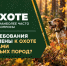Всё об охоте: какие требования установлены к охоте с собаками охотничьих пород? - Госохотдепартамент Тюменской области