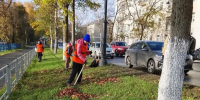 Более 2 000 куб. метров листвы убрано в Вологде с начала сезона - Региональное Агентство Новостей