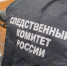 В Туле местная жительница признана виновной в смертельном избиении сожителя - Следственный комитет