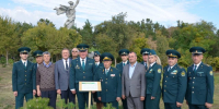 Таможенники высадили 40 крымских сосен на Мамаевом кургане - Газета Городские вести