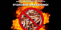 Жителю Павловского района назначено наказание за незаконное хранение боеприпасов к огнестрельному оружию - Николаевский районный суд