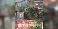 «Все планы отменились». Модель из Воронежа рассказала о мощных ливнях в Стамбуле - ГТРК Воронеж