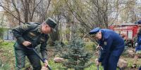 Офицеры следственного управления высадили саженцы в природном заказнике «Голубые озера» - Следственный комитет