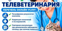 Телеветеринария: онлайн-консультации для питомцев - Рузский городской округ