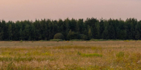 Картинка - Regions.Ru