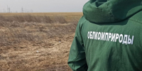 Волгоградская правда - Газета Волгоградская правда