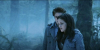 «Романовым приходится бороться с вампирами»: Олег Урушев рассказал, почему «Сумерки» вернулись в кинотеатры - Spbdnevnik.ru