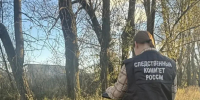 В пакетах и сумке. Появилось фото с места, где нашли части тела в Петербурге - 47 новостей