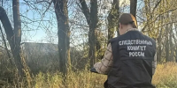 Уголовное дело возбудили после обнаружения расчлененного тела в Петербурге - M24.Ru