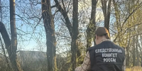Дело об убийстве возбудили после обнаружения частей тела в сумке в Петербурге - Комсомольская правда