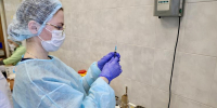 119 тысяч жителей Челябинской области вакцинировали от клещевого энцефалита - Вечерний Челябинск