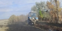 В Самарской области за сутки справились с лесным пожаром - Комсомольская Правда Самара