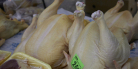 Сальмонеллу нашли в курице со Ставрополья, которую поставляли в школьные столовые Твери - Bloknot-Stavropol.Ru