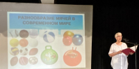 «Мяч всему голова» - ЦБС Верхнеуфалейского городского округа
