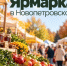 Ярмарка в Новопетровском - Газета Истра сегодня