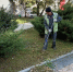 Большая уборка: во Владивостоке проходит осенний месячник чистоты - Администрация г. Владивостока