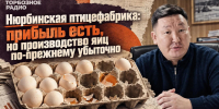 Нюрбинская птицефабрика: прибыль есть, но производство яиц по-прежнему убыточно - ИА SakhaTime