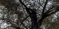 Котёнку, просидевшему на дереве двое суток, спуститься за землю помогли спасатели в Минусинске - Абакан 24