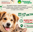 a66360a7-1d02-4fb6-a3d6-fad33d57ced5.jpeg - Администрация г. Владивостока
