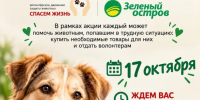 a66360a7-1d02-4fb6-a3d6-fad33d57ced5.jpeg - Администрация г. Владивостока