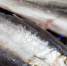На аукцион выставили в том числе доли квот ряпушки. Архивное фото - Fishnews.Ru