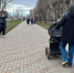 Кировские папы массово уходят в декрет - Город Киров