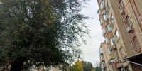 Азовчан предупредили о дожде в конце предстоящих выходных - Azov.DonDay.Ru