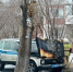Омич получил 12 лет заключения за поджог полицейской машины - Вечерний Омск