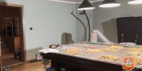 Друзья с Камчатки фасовали марихуану на бильярдном столе в подмосковном коттедже - Вести Подмосковья
