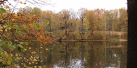 Опубликован прогноз погоды на выходные 17 – 18 октября в Нижнем Новгороде - фото 1 - vGorodeN.Ru