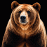 image - GazetaRB.Ru