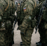 В Якутии поступающие на военную службу по контракту получают выплаты от 3,8 млн рублей - Yakutia-Daily.Ru