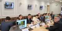 Олеся Шеметова приняла участие в заседании Комитета по государственному строительству и местному самоуправлению, - Общественная палата РБ