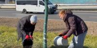 На улице Студенческой в Благовещенске высадили 10 лип, привезенных из Харбина (ВИДЕО) - Asn24.Ru