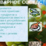 Правила хранения продовольствия и продуктовое соседство - Целинский район