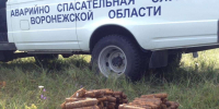 Взрывотехники подорвали более 300 боеприпасов ВОВ под Воронежем - Обозреватель.Врн