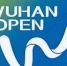 Тольяттинская теннисистка Шнайдер выбыла из турнира WTA в Ухане - TltGorod.Ru
