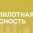 Внимание! На территории Республики Татарстан введен режим «Беспилотная опасность»! - Альметьевский район