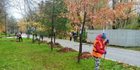 За сутки из Вологды вывезли 12 кубометров смёта и 74 кубометров листвы - OnlineVologda.Ru