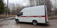 В быту, в лесу и на даче: 8 жителей Марий Эл подхватили опасную лихорадку - Pg12.Ru