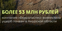 Организация «Февральслес» заплатила более 53 млн рублей за ущерб почвам в Амурской области - Росприроднадзор