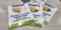Новый стварт 1.jpg - Просто газета